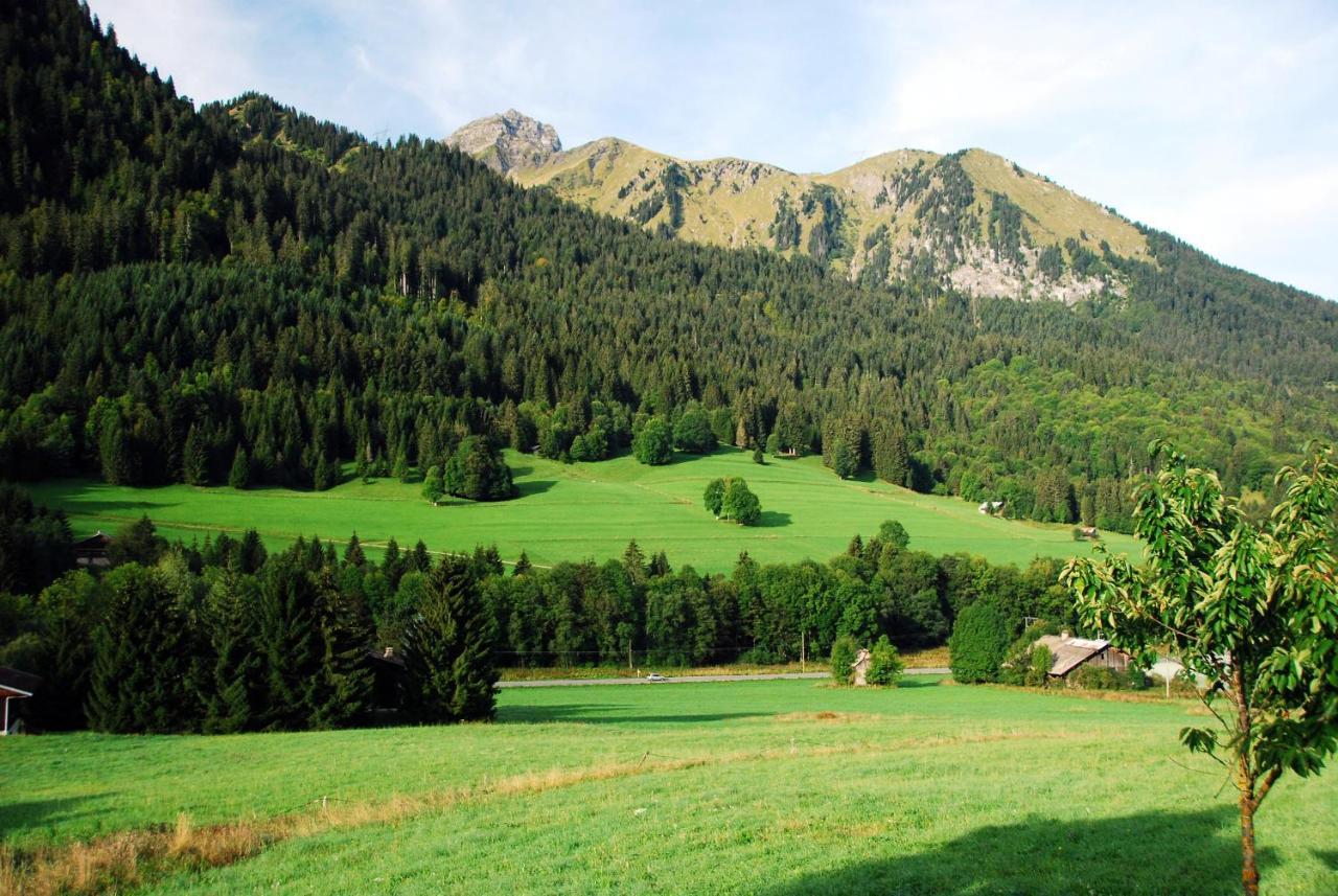 Chalet Cannelle Châtel Zewnętrze zdjęcie