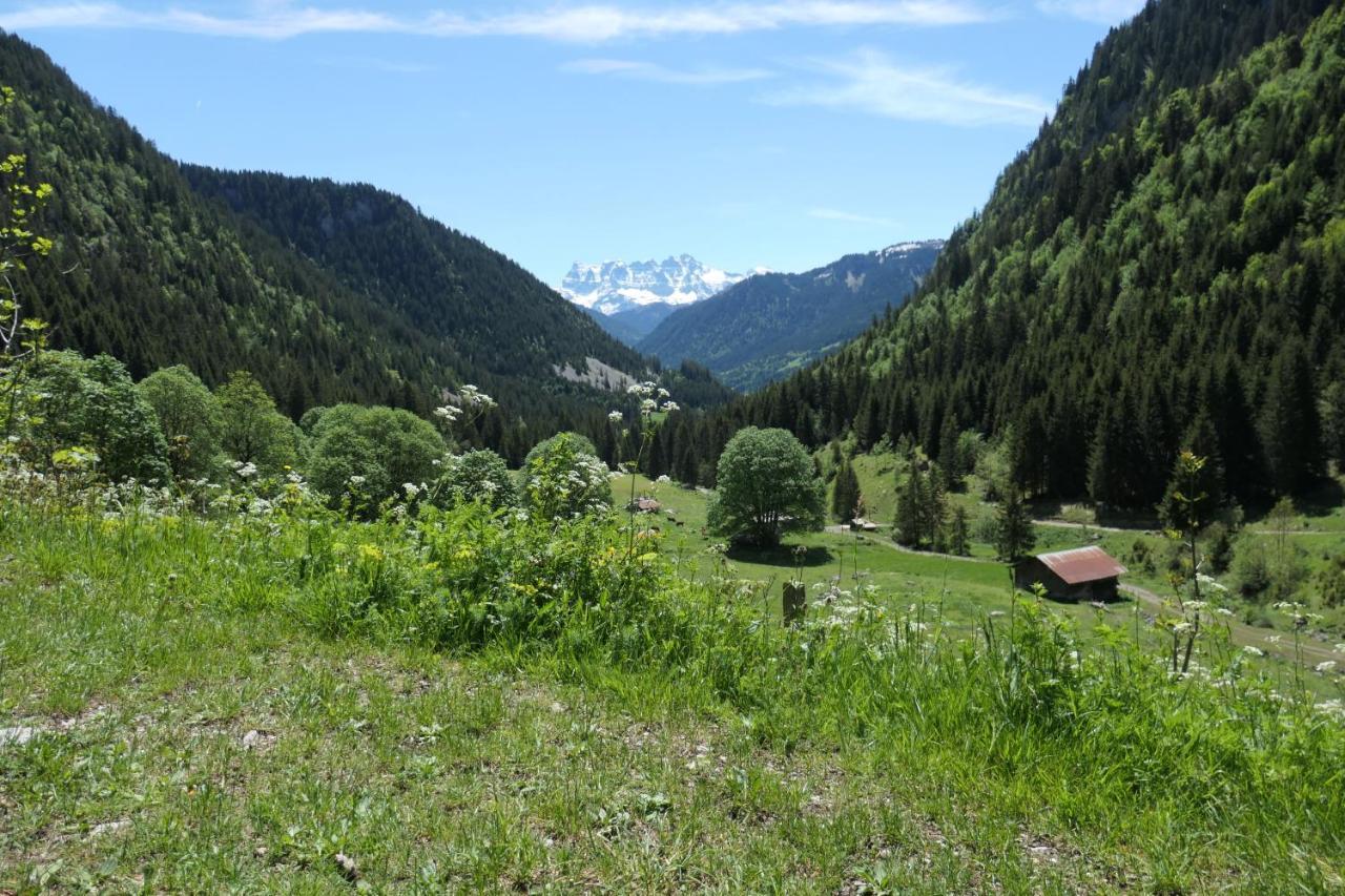 Chalet Cannelle Châtel Zewnętrze zdjęcie