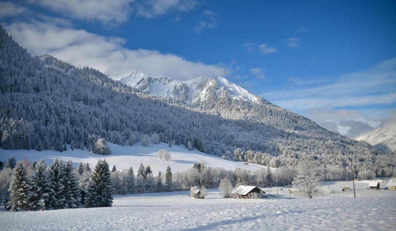 Chalet Cannelle Châtel Zewnętrze zdjęcie