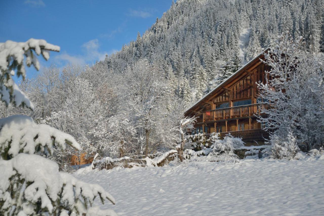 Chalet Cannelle Châtel Zewnętrze zdjęcie