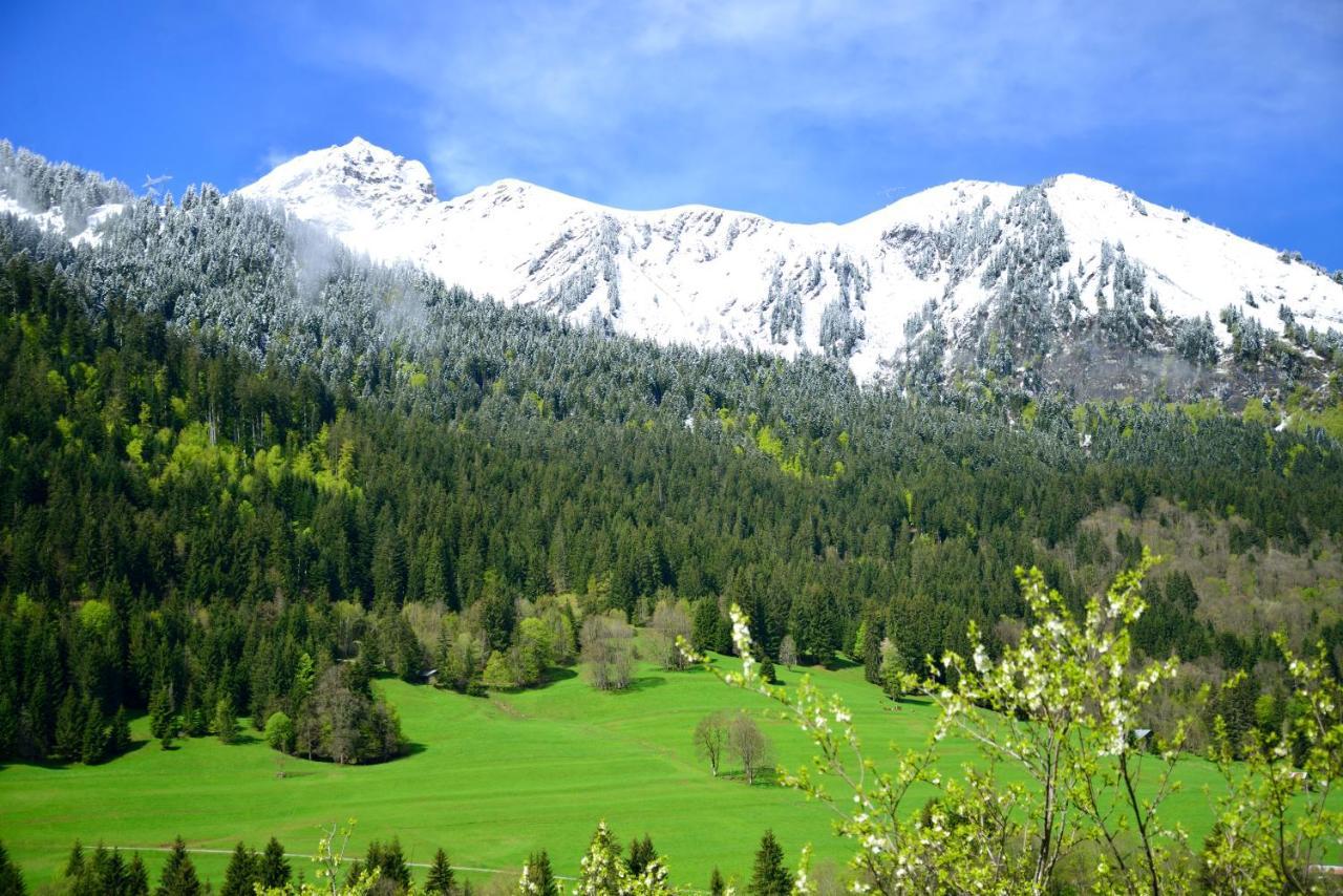 Chalet Cannelle Châtel Zewnętrze zdjęcie