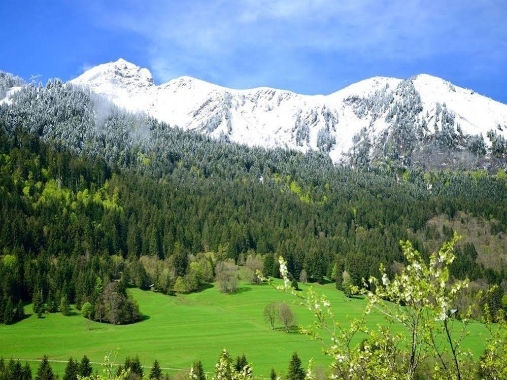 Chalet Cannelle Châtel Zewnętrze zdjęcie